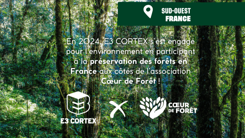 Cœur de forêt